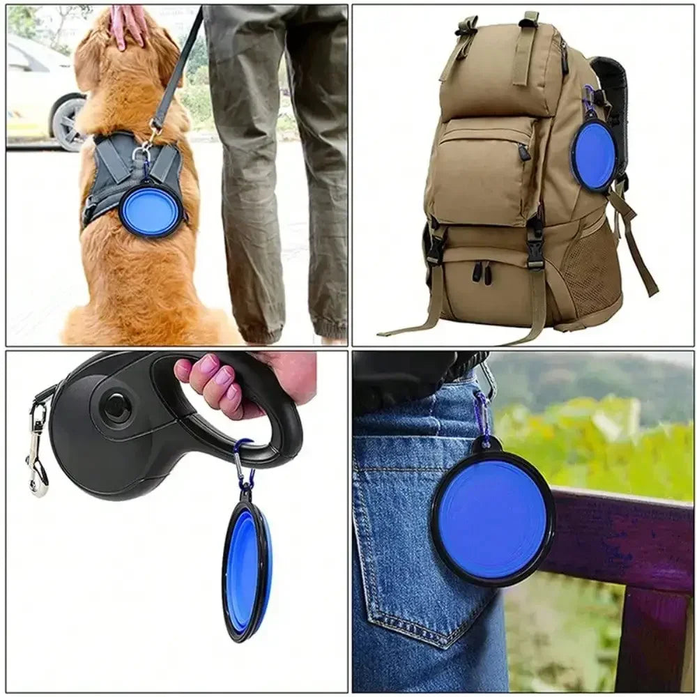 Portable Silicone Dog Feeder Bowl With Travel Carabiner