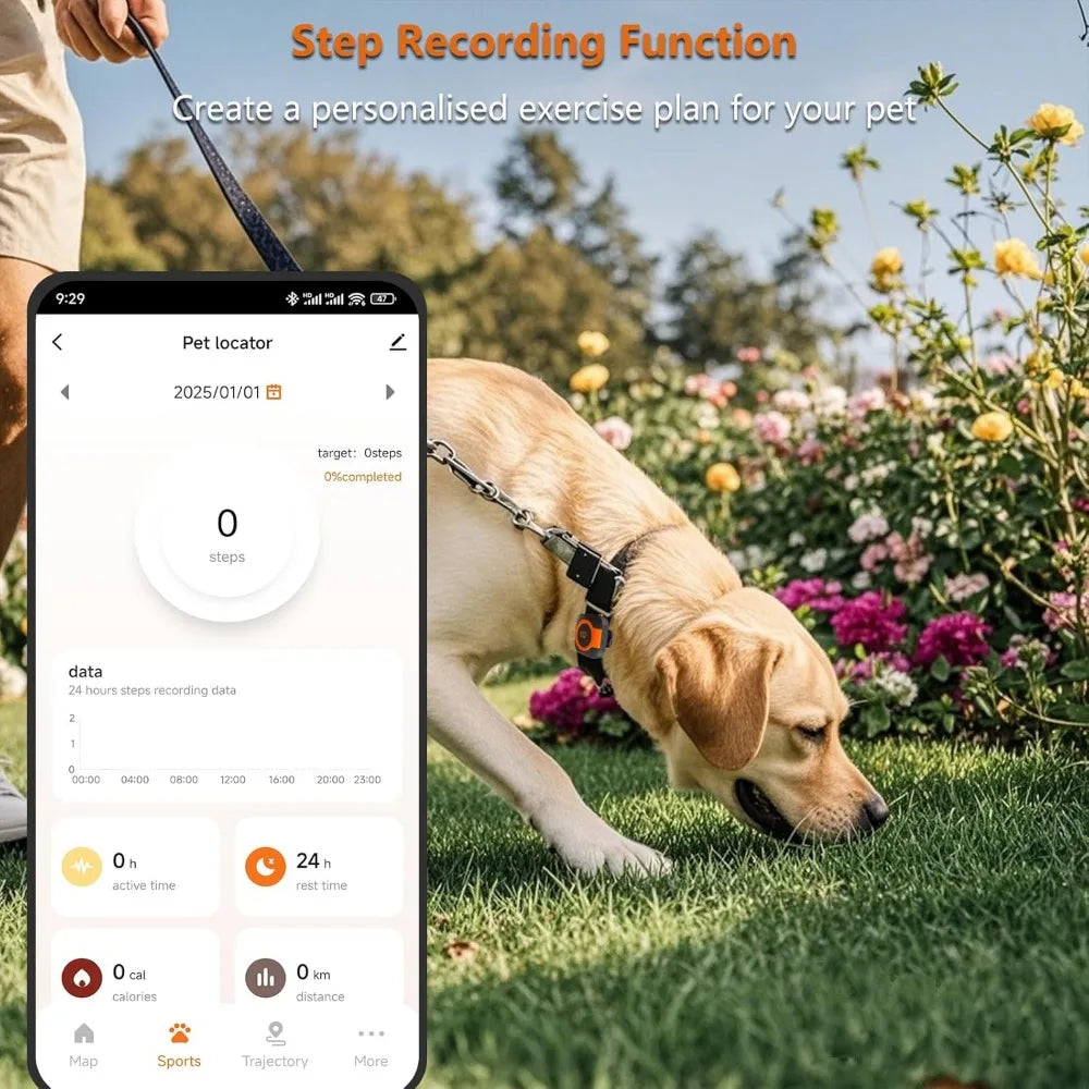 GPS Tracker For Dogs Health Monitoring Location Tracking And Activity