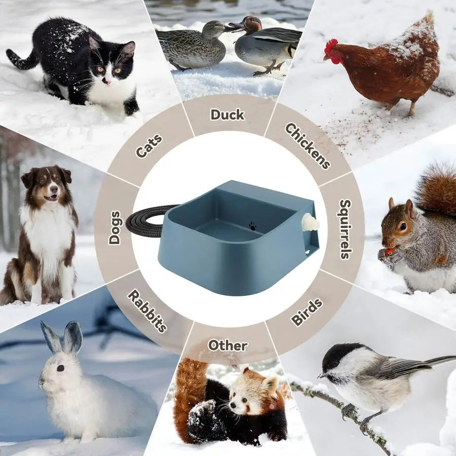 Automatic Heated Water Dispenser For Dogs And Cats Indoor Outdoor