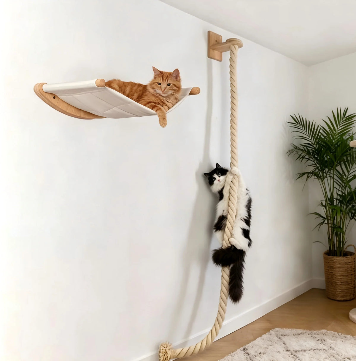 CWV Wall Mounted Cat Hammock Climbing Perch With Sisal Scratcher