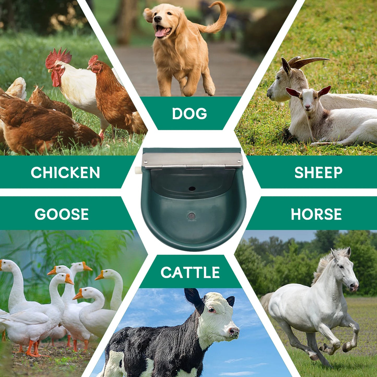 Automatic Water Drinking Bowl for Farm Animals Sheep Goats Cattle