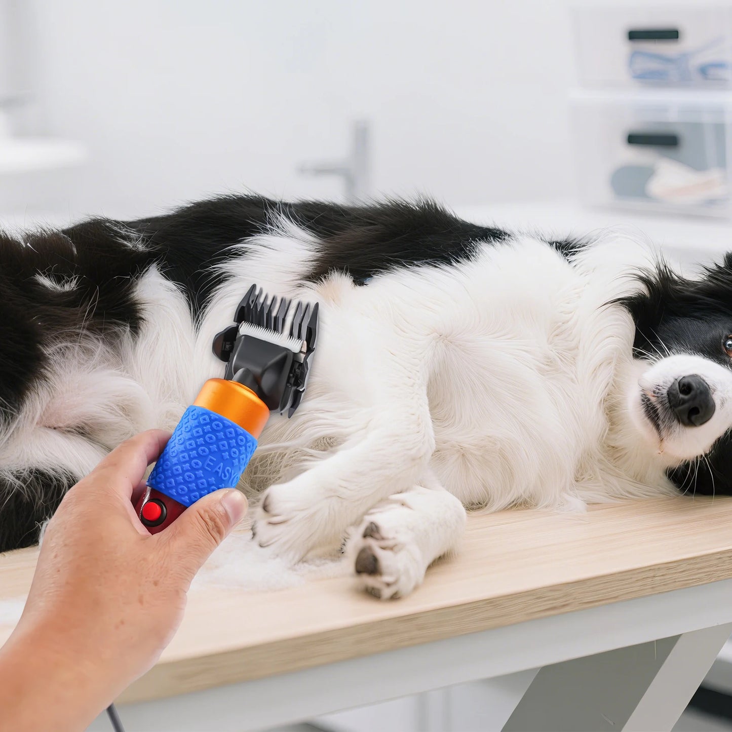 36W Electric Sheep Goat Clipper And Shears For Animal Grooming