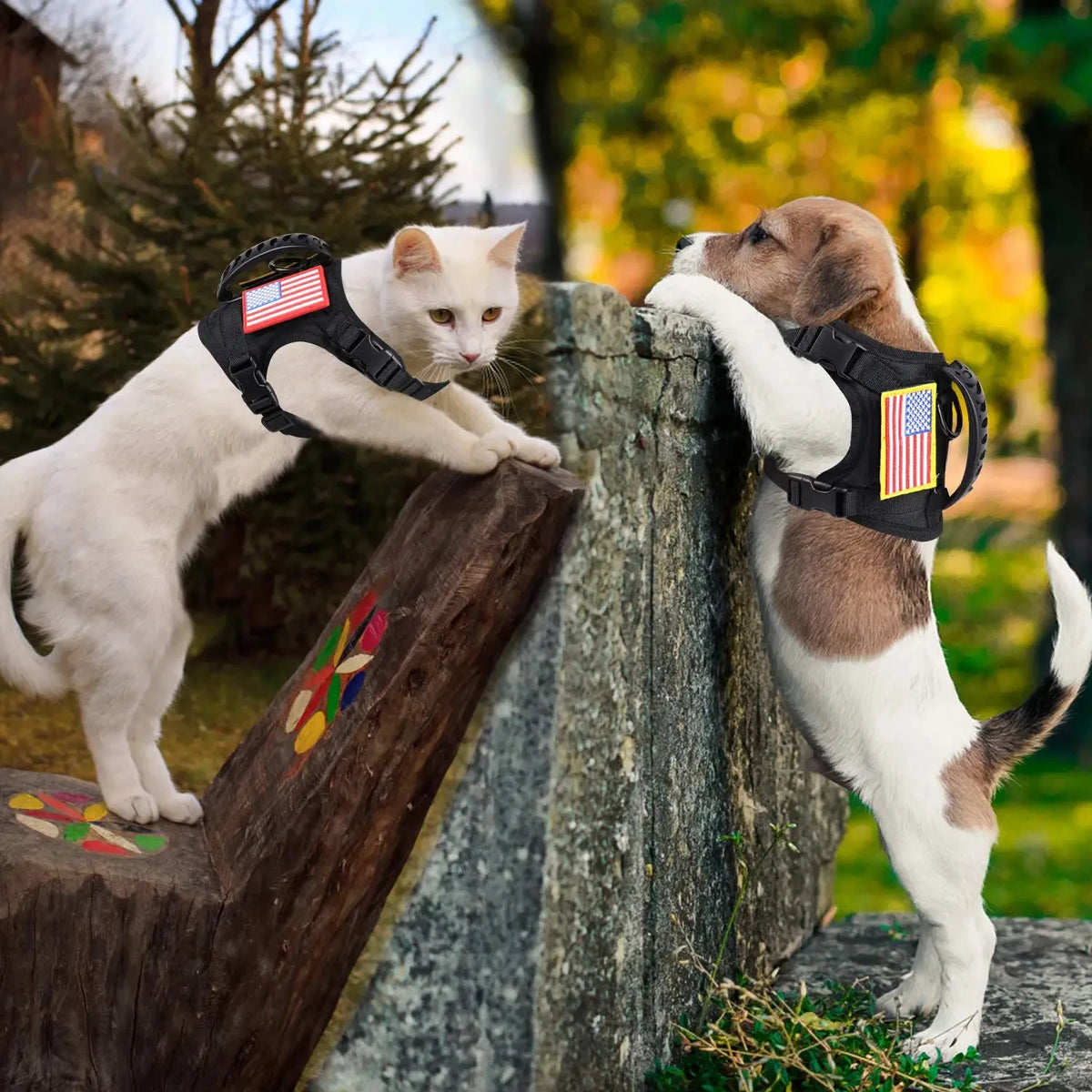 PETRAVEL Tactical Puppy Harness And Leash Set For Small Dogs
