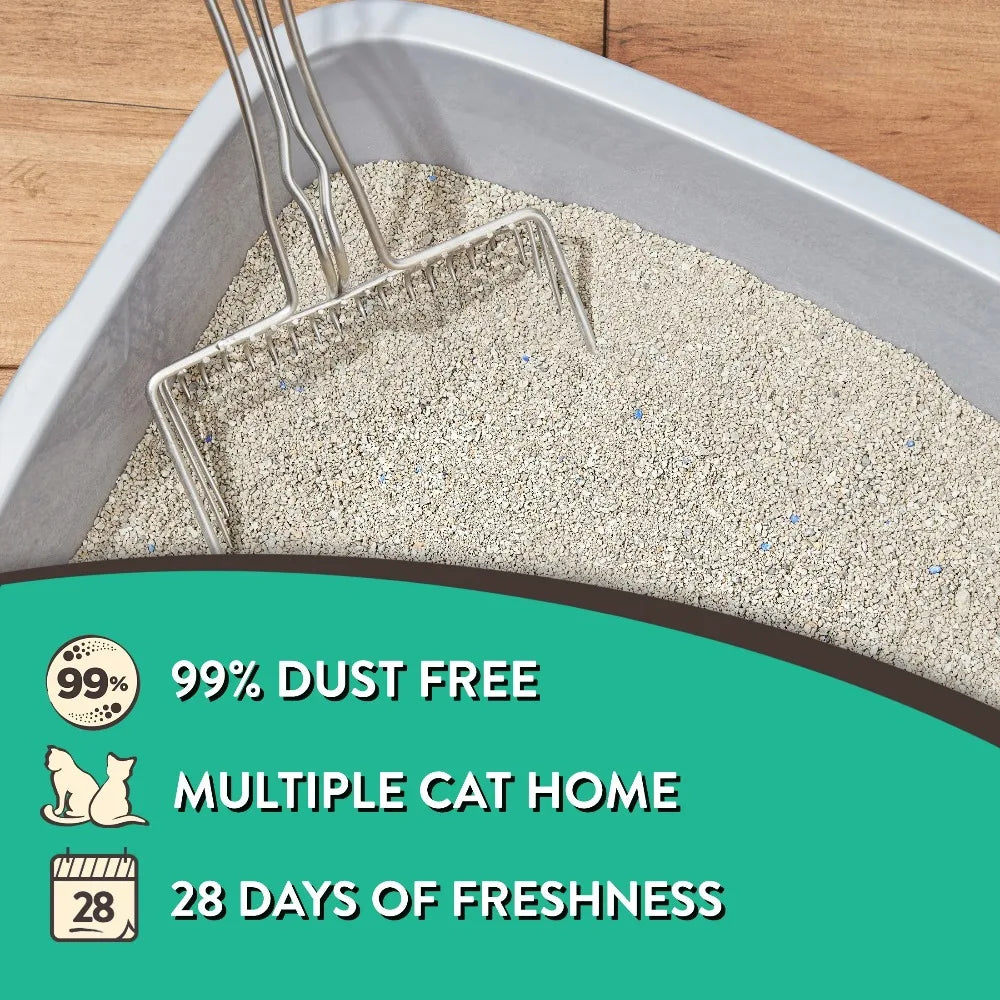 Scoopable Tight Clumping Cat Litter Fresh Scent Odor Control
