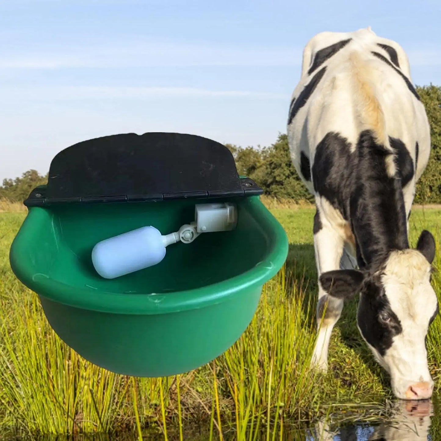 Automatic Water Drinking Bowl for Farm Animals Sheep Goats Cattle