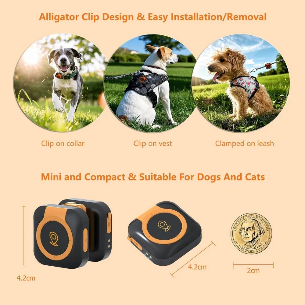 GPS Tracker For Dogs Health Monitoring Location Tracking And Activity