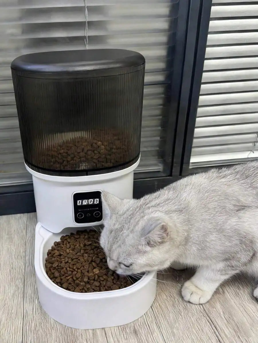 Automatic Pet Feeder For Cats And Dogs, Easy Install