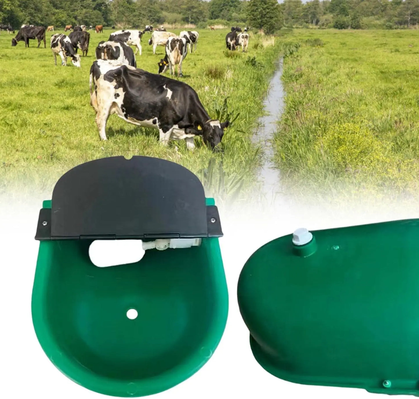 Automatic Water Drinking Bowl for Farm Animals Sheep Goats Cattle