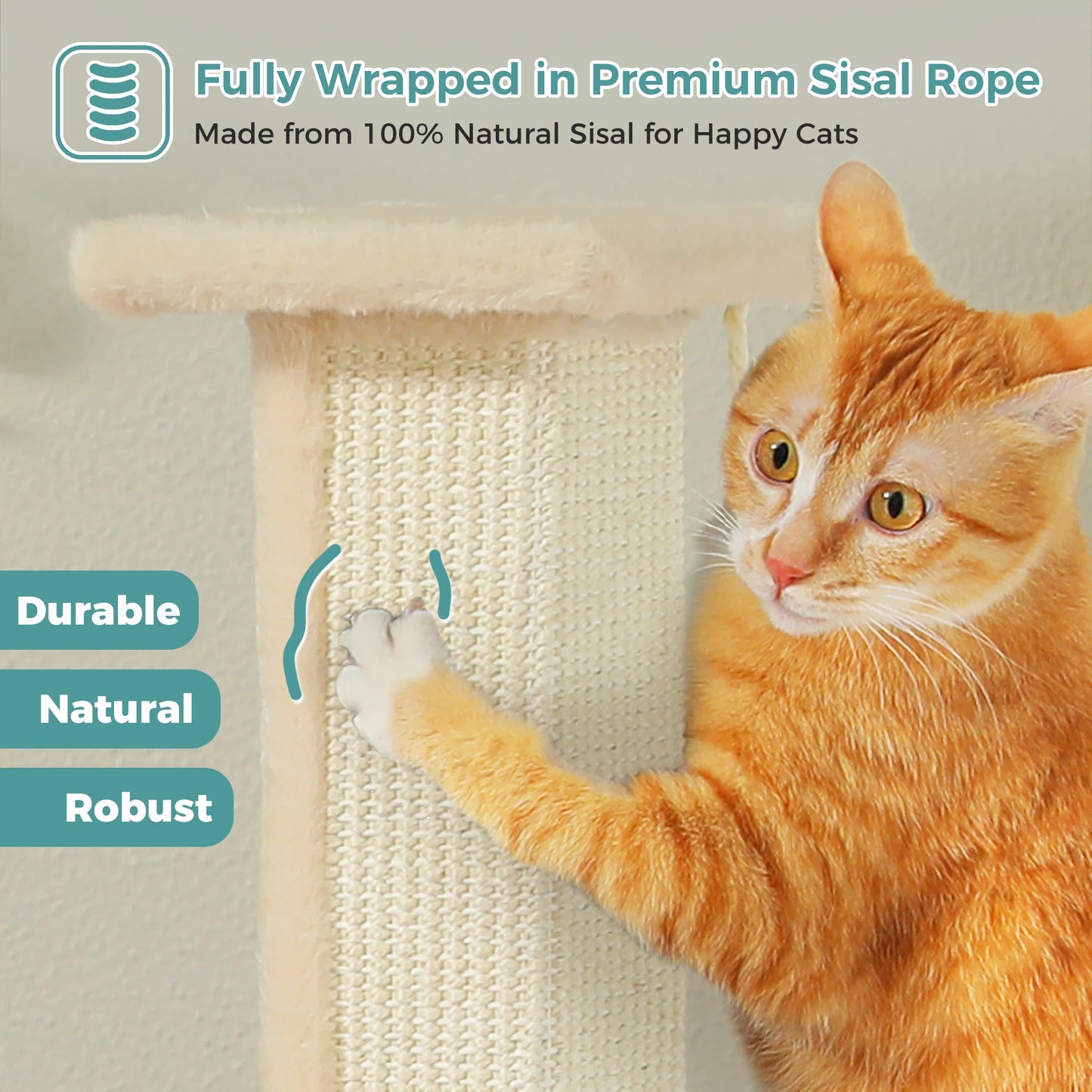 PAWZ Road Cat Scratching Post For Indoor Cats With Sisal Ball