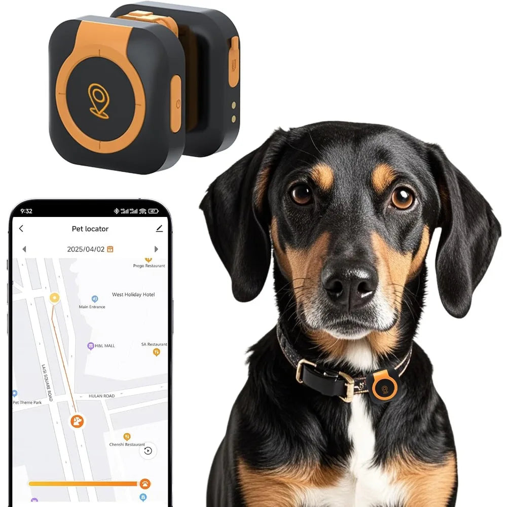 GPS Tracker For Dogs Health Monitoring Location Tracking And Activity