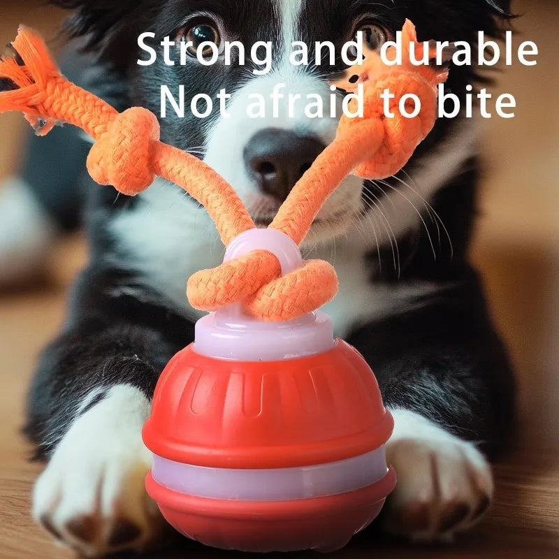 LISM Smart Dog Toy Ball Motion Activated Interactive Squeaky