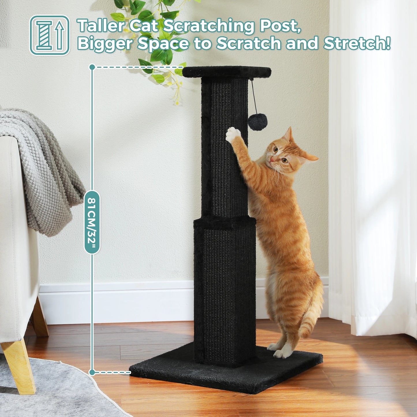 PAWZ Road Cat Scratching Post For Indoor Cats With Sisal Ball