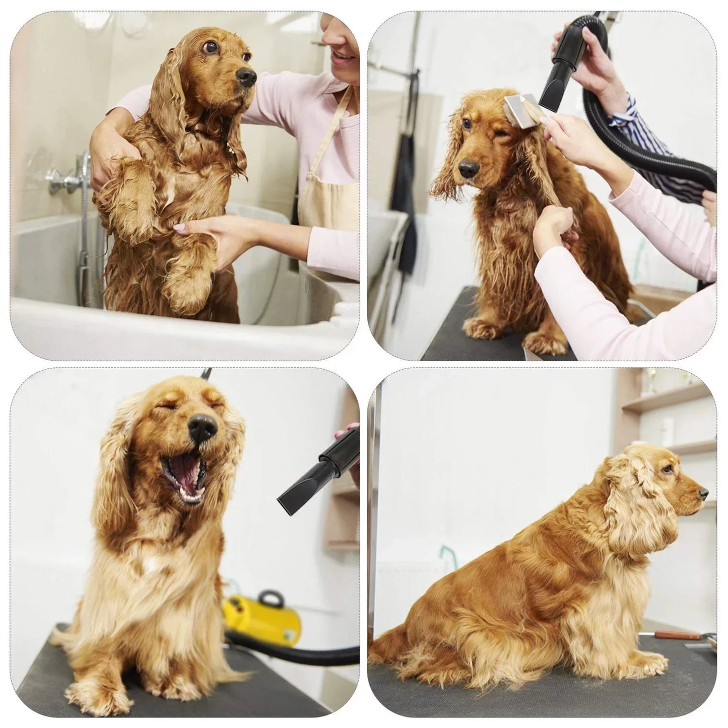 Powerful Dog Hair Dryer 3.8HP 2800W Pet Grooming Blower