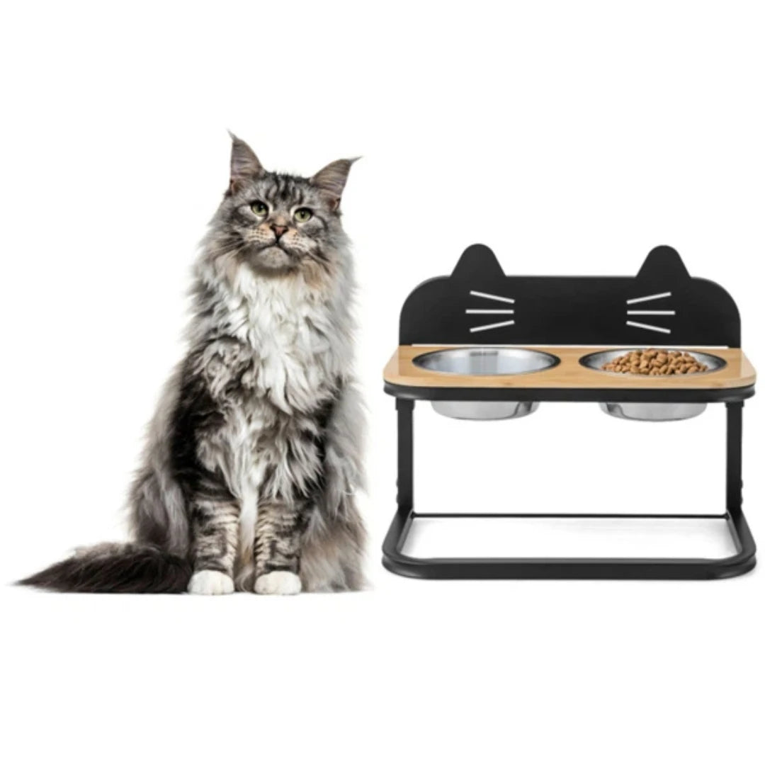 Pet Feeder With 2 Stainless Steel Bowls Adjustable Height