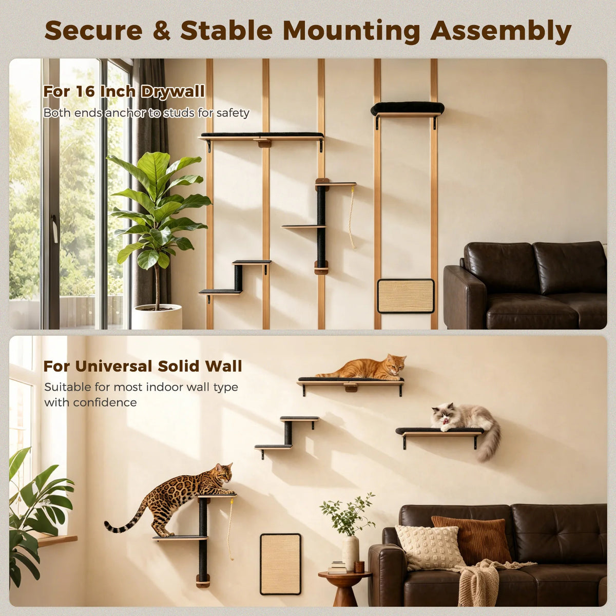 PAWZ Road Wooden Cat Wall Climbing Furniture With Scratching Posts