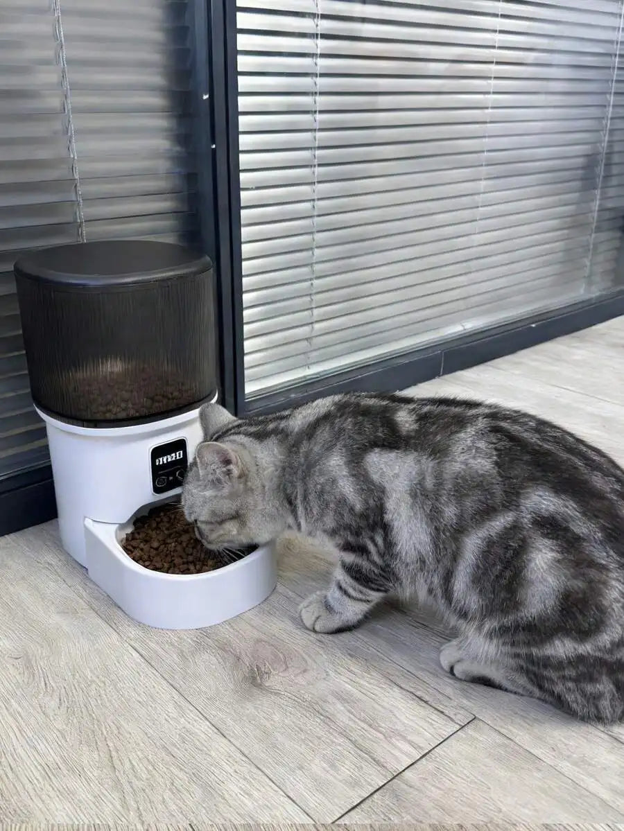 Automatic Pet Feeder For Cats And Dogs, Easy Install
