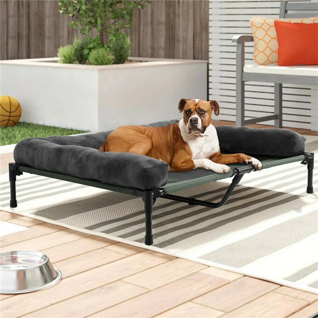 BINGOPAW Elevated Outdoor Indoor Dog Bed Breathable Mesh With Plush Bolster