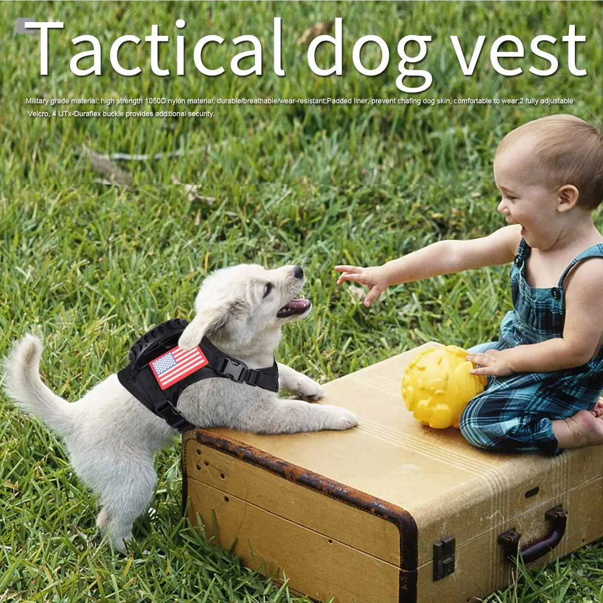 PETRAVEL Tactical Puppy Harness And Leash Set For Small Dogs