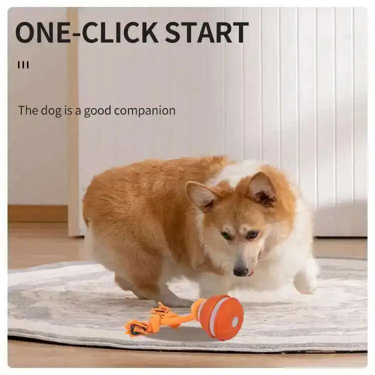 LISM Smart Dog Toy Ball Motion Activated Interactive Squeaky