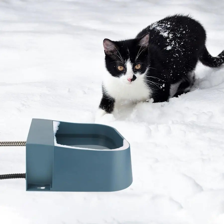 Automatic Heated Water Dispenser For Dogs And Cats Indoor Outdoor