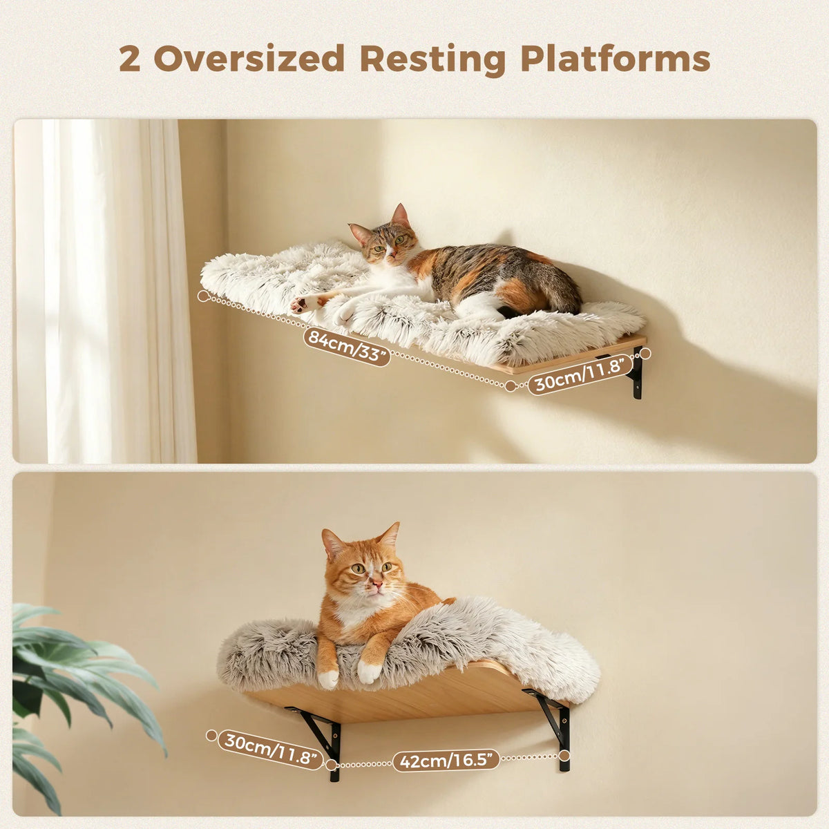 PAWZ Road Wooden Cat Wall Climbing Furniture With Scratching Posts