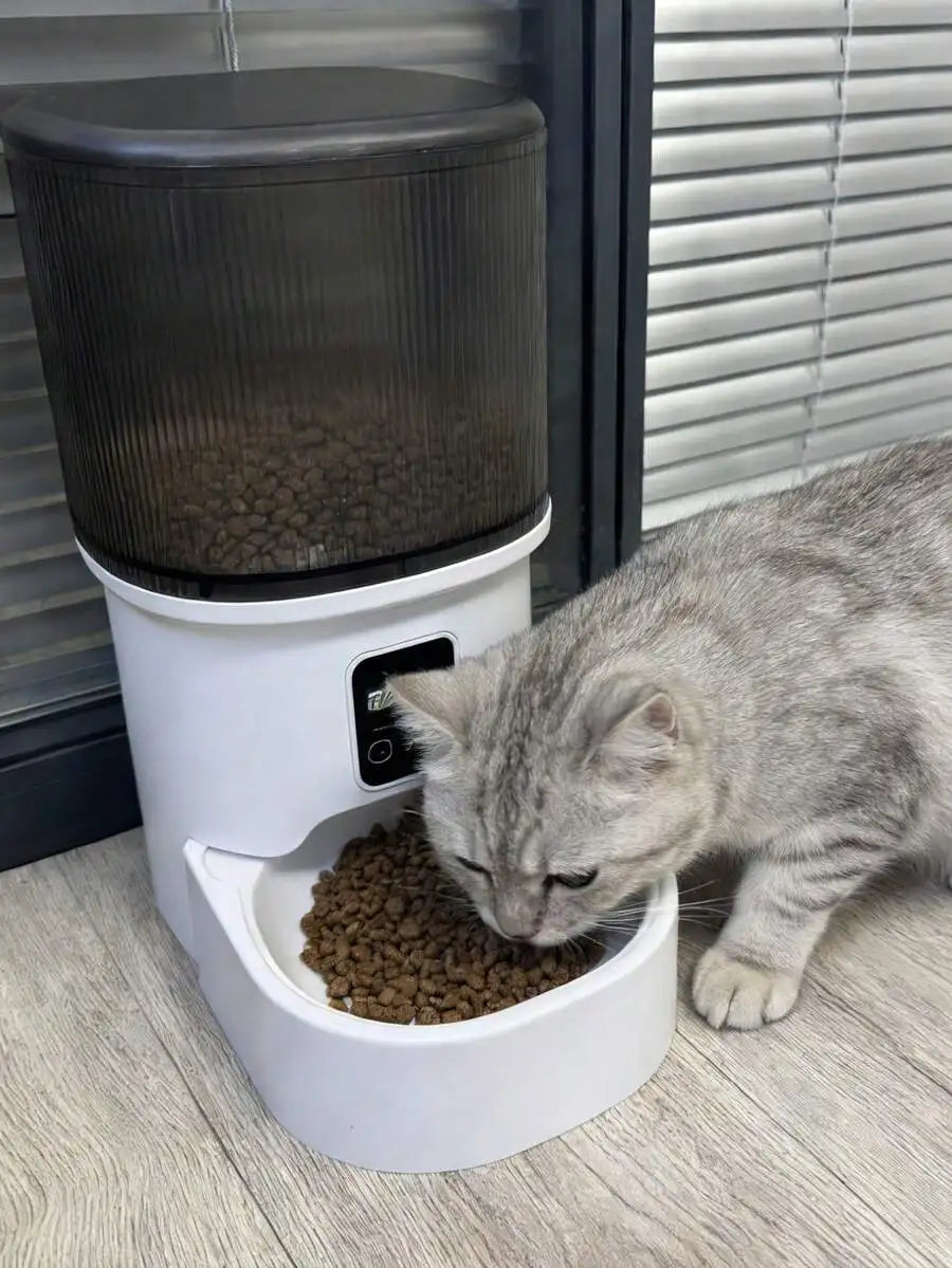 Automatic Pet Feeder For Cats And Dogs, Easy Install