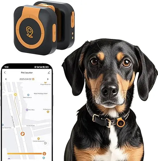 GPS Tracker For Dogs Health Monitoring Location Tracking And Activity