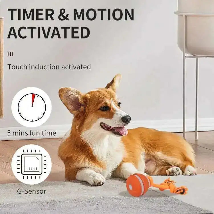 LISM Smart Dog Toy Ball Motion Activated Interactive Squeaky