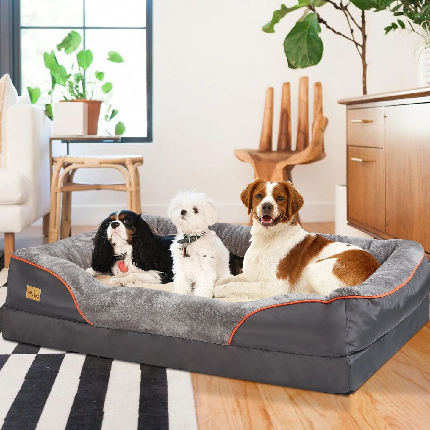 BINGOPAW Super Soft Orthopedic Foam Dog Bed With Removable Cover