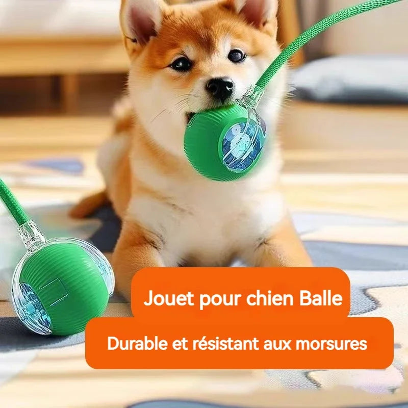 Automatic Rolling Dog Interactive Ball Toy Rechargeable