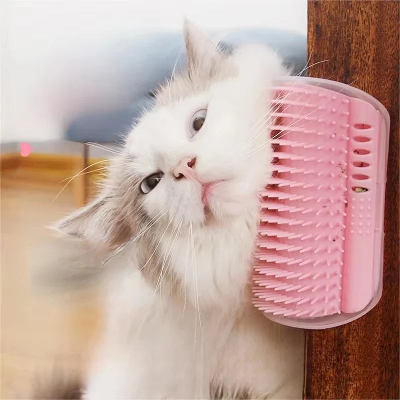 Cat Scratcher Massage Comb Corner Scratching Brush With Catnip Grooming