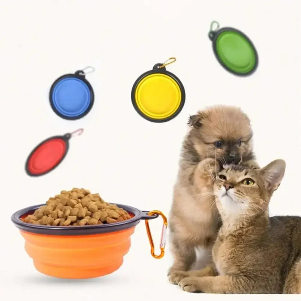 Portable Silicone Dog Feeder Bowl With Travel Carabiner