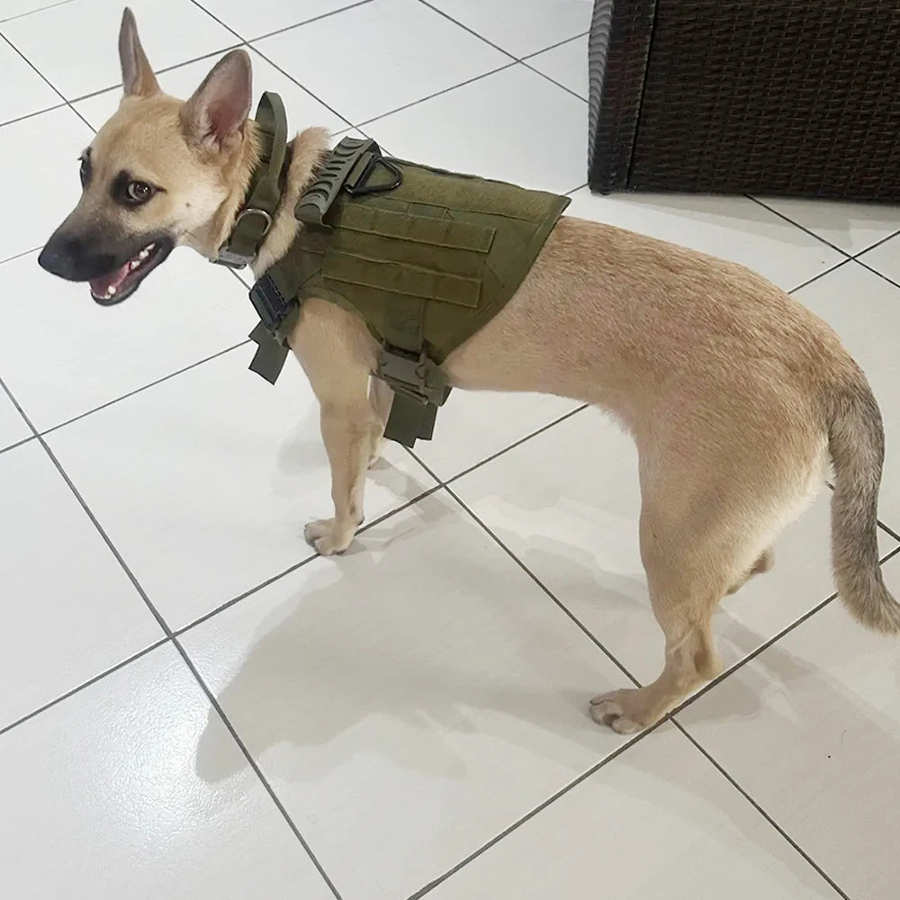 PETRAVEL Adjustable Tactical Dog Harness And Collar Set