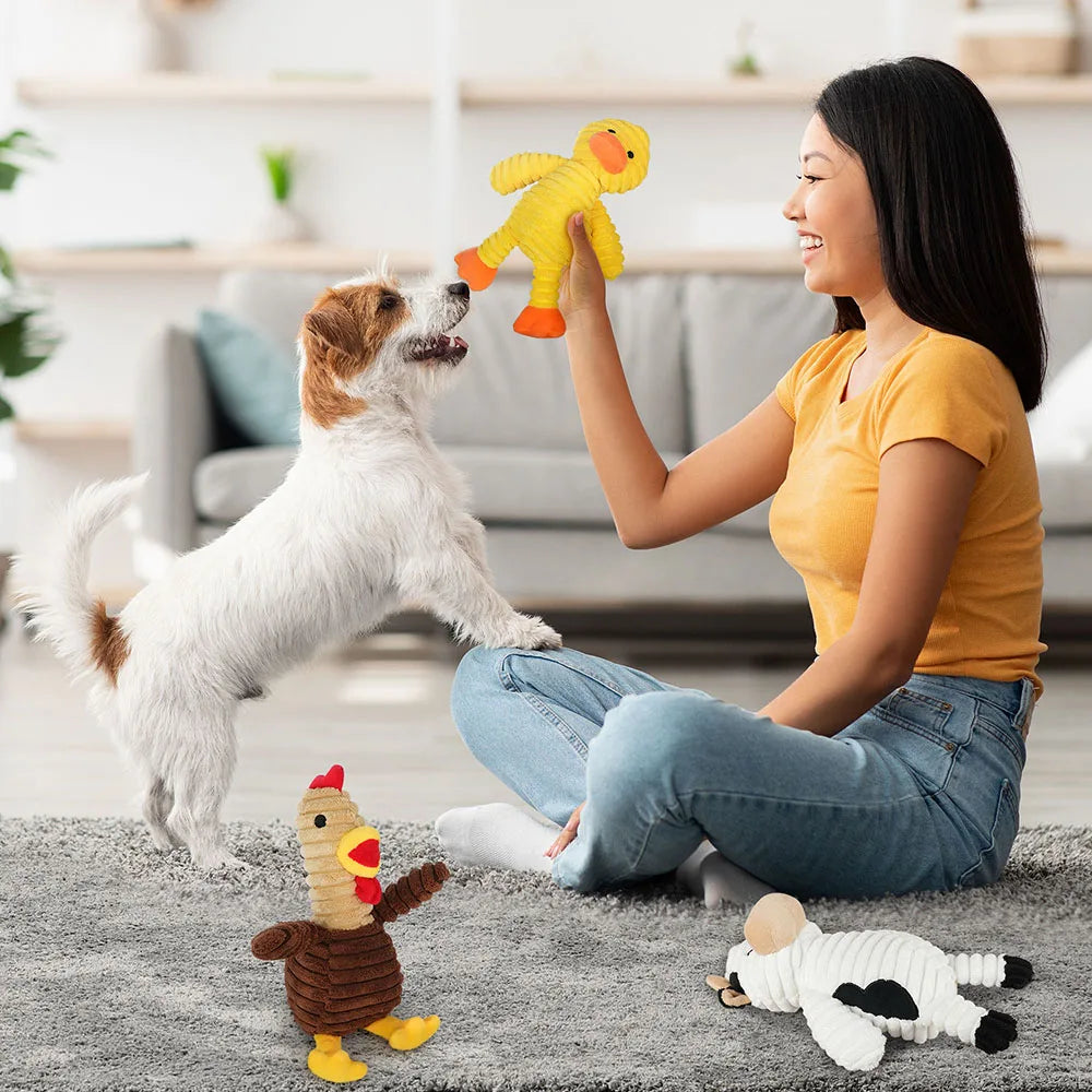 Five Pack Plush Dog Toys Squeaky Bundle For Pets Chew