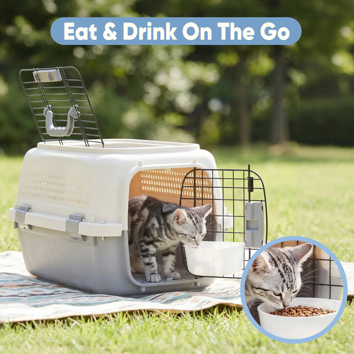 JHK Secure Plastic Pet Carrier With Top Load Wire Door