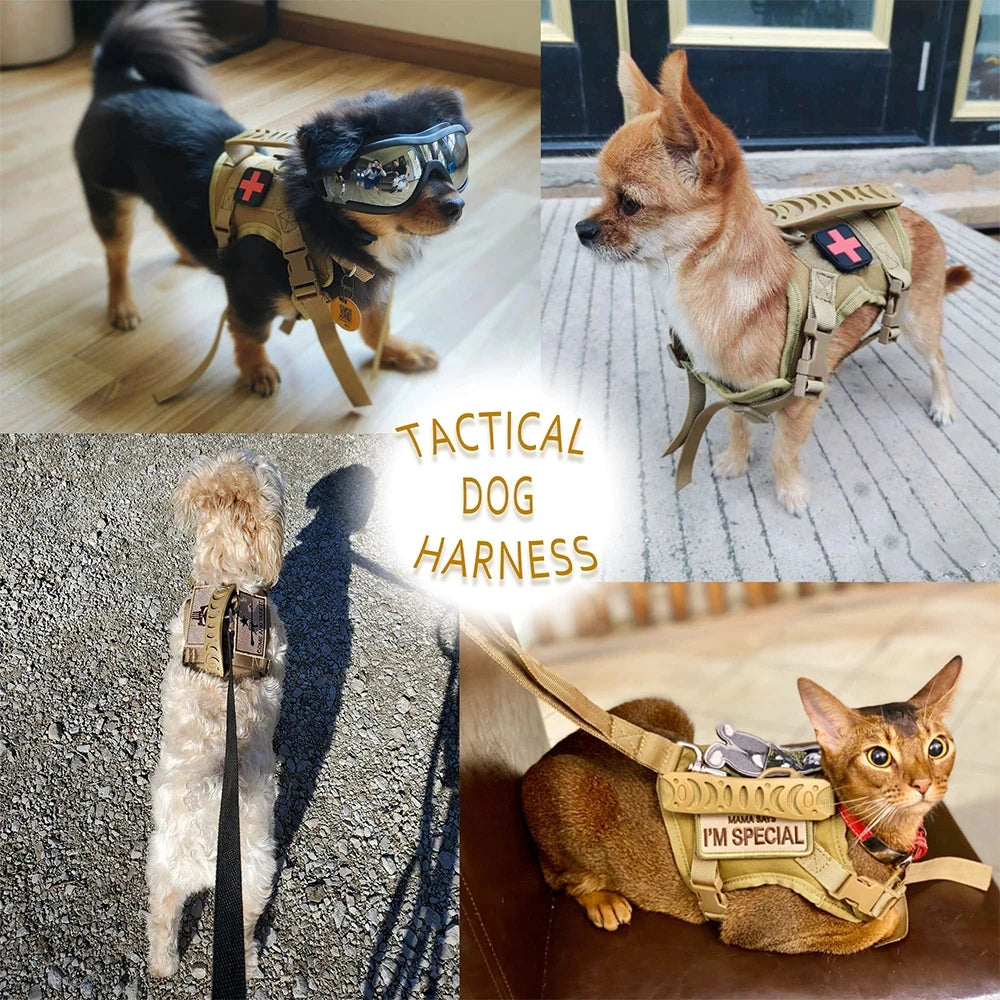 PETRAVEL Tactical Puppy Harness And Leash Set For Small Dogs