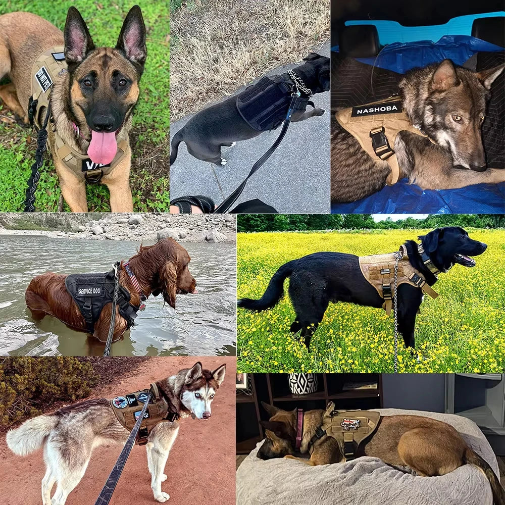 Tactical Military Dog Harness Vest With Leash And Training Patches