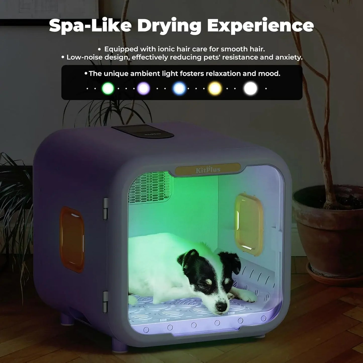 Ultra Quiet Pet Dryer Box With Smart Temp Control System