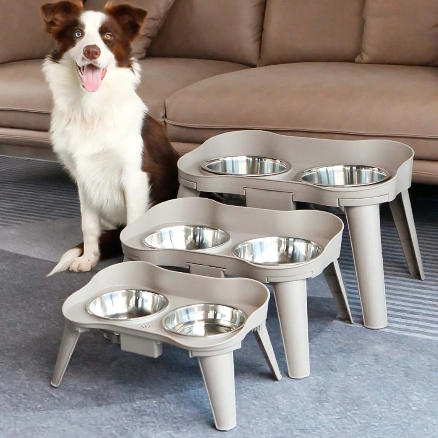 Elevated Stainless Steel Dog Feeder Bowl Non Slip No Spill