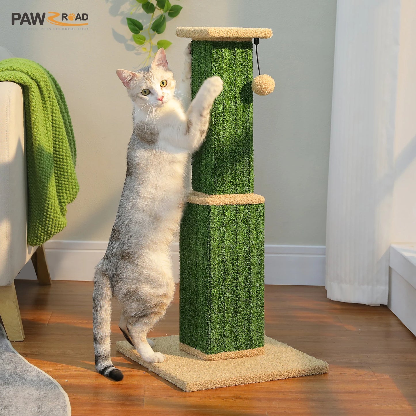 PAWZ Road Cat Scratching Post For Indoor Cats With Sisal Ball