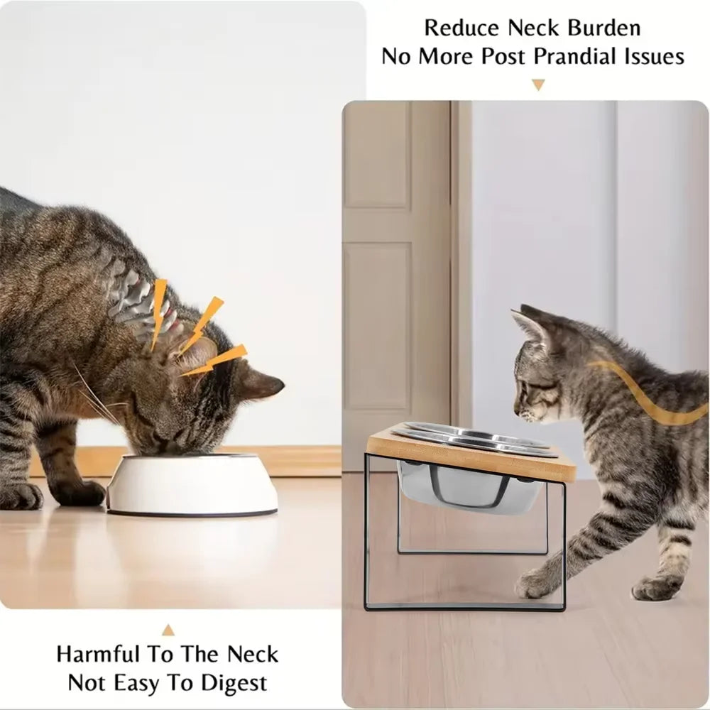 15 Degree Tilted Elevated Stainless Steel Cat Bowls With Wooden Stand