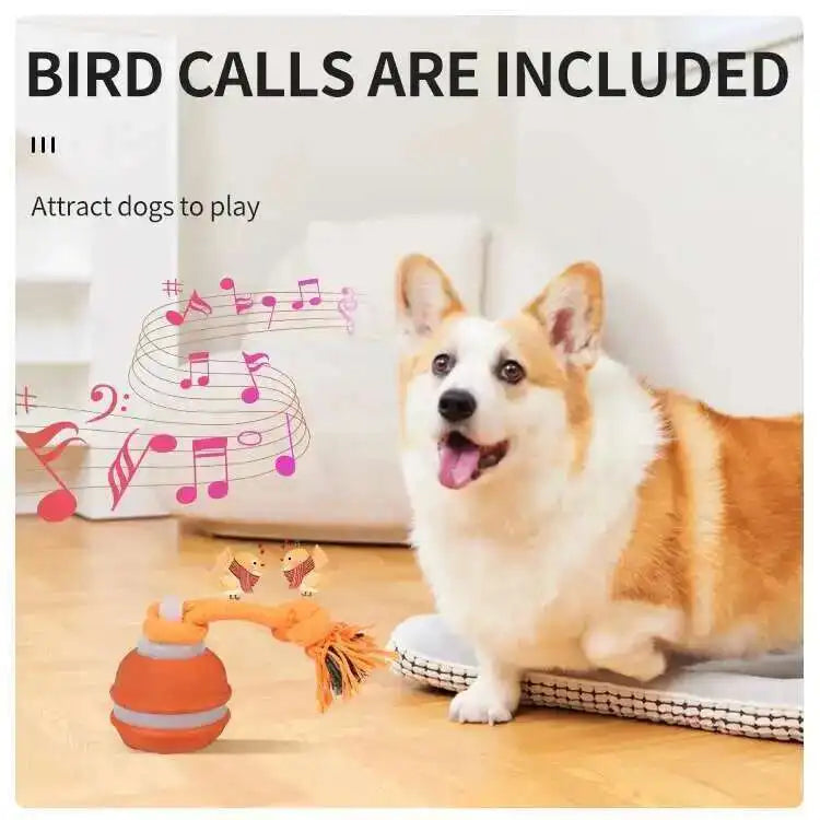 LISM Smart Dog Toy Ball Motion Activated Interactive Squeaky