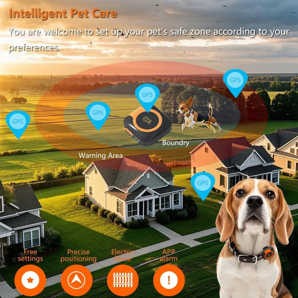 GPS Tracker For Dogs Health Monitoring Location Tracking And Activity